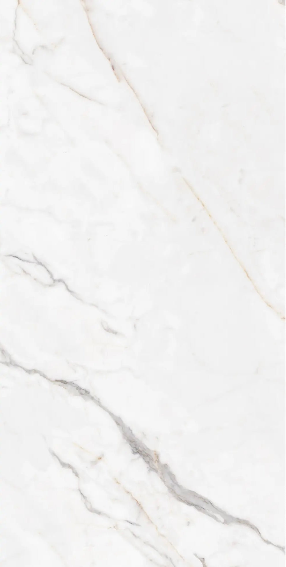 WHITE JADE GLOSS 750x1500
