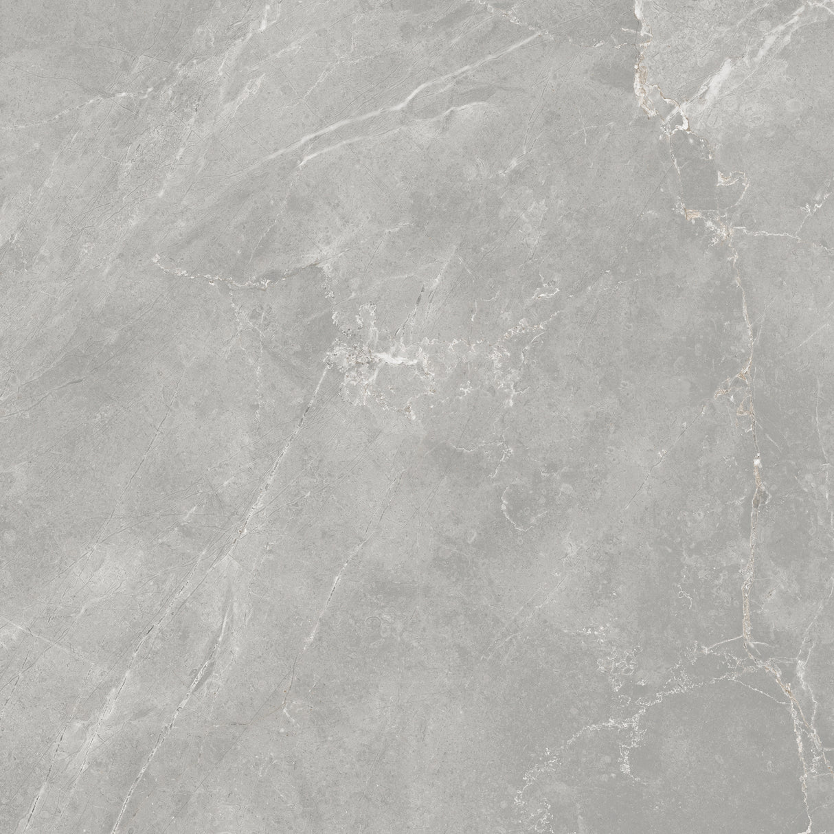 SARONIC GREY GLOSS 600x600