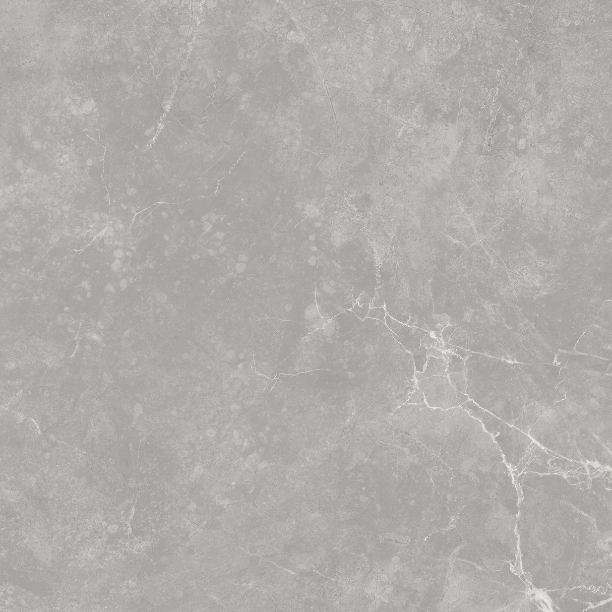 SARONIC GREY GLOSS 600x600