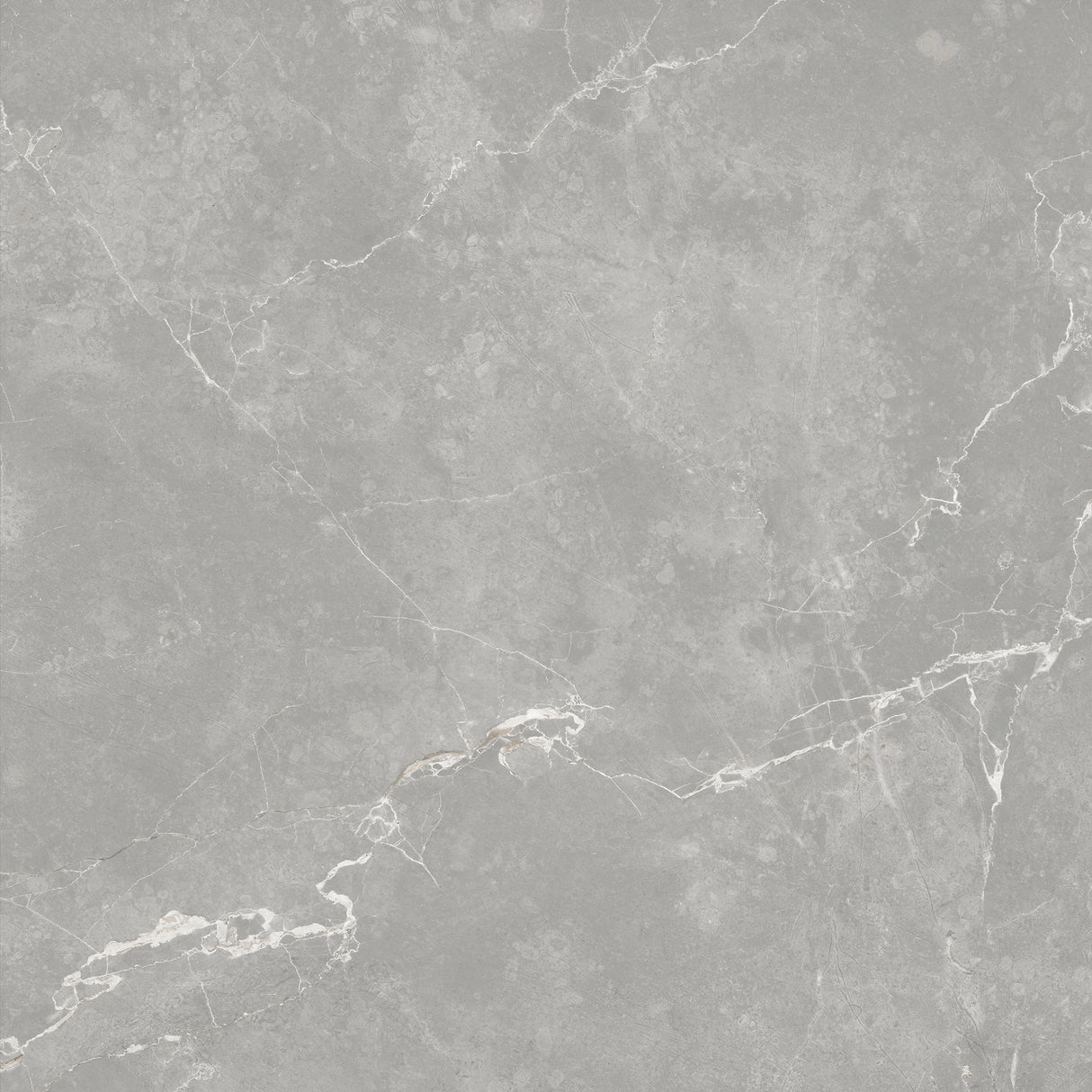 SARONIC GREY GLOSS 600x600