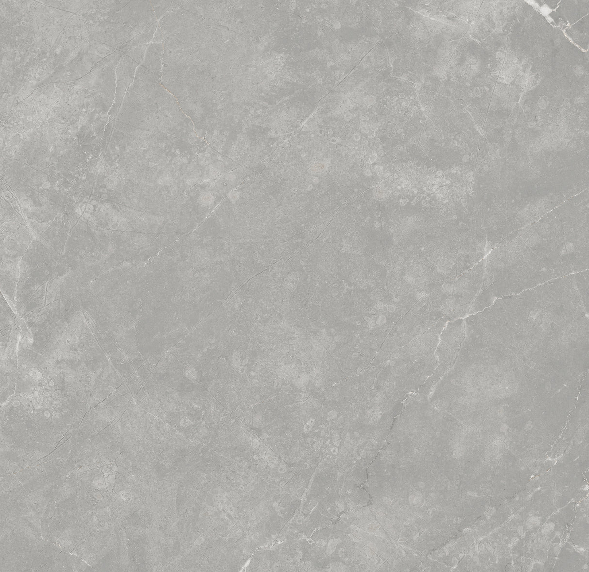 SARONIC GREY GLOSS 600x600