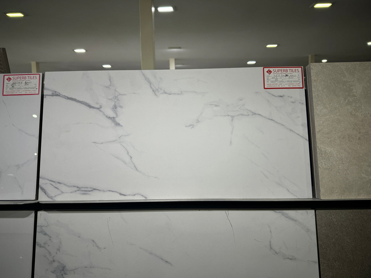 CARRARA MATT 634 300x600