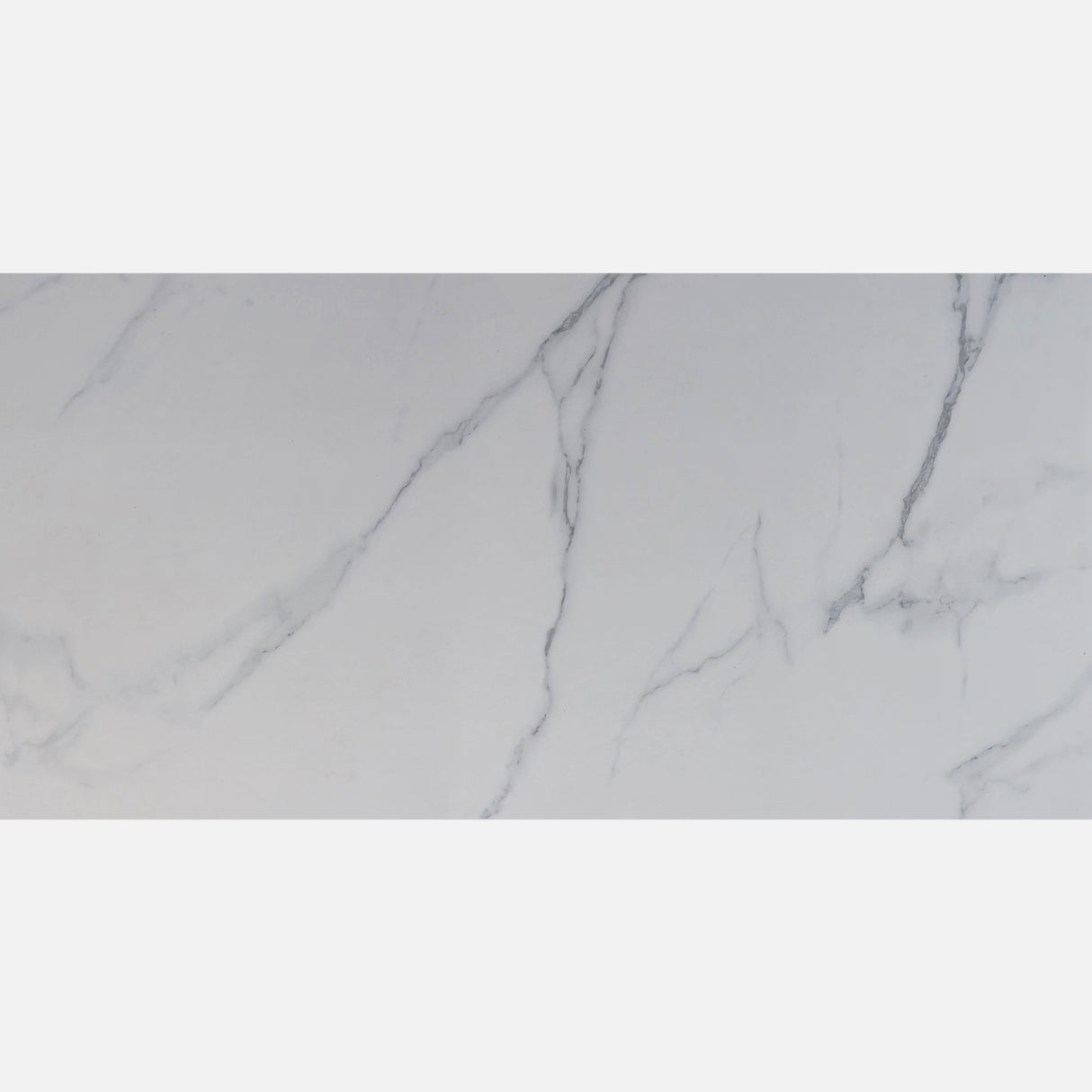 CARRARA MATT 634 300x600