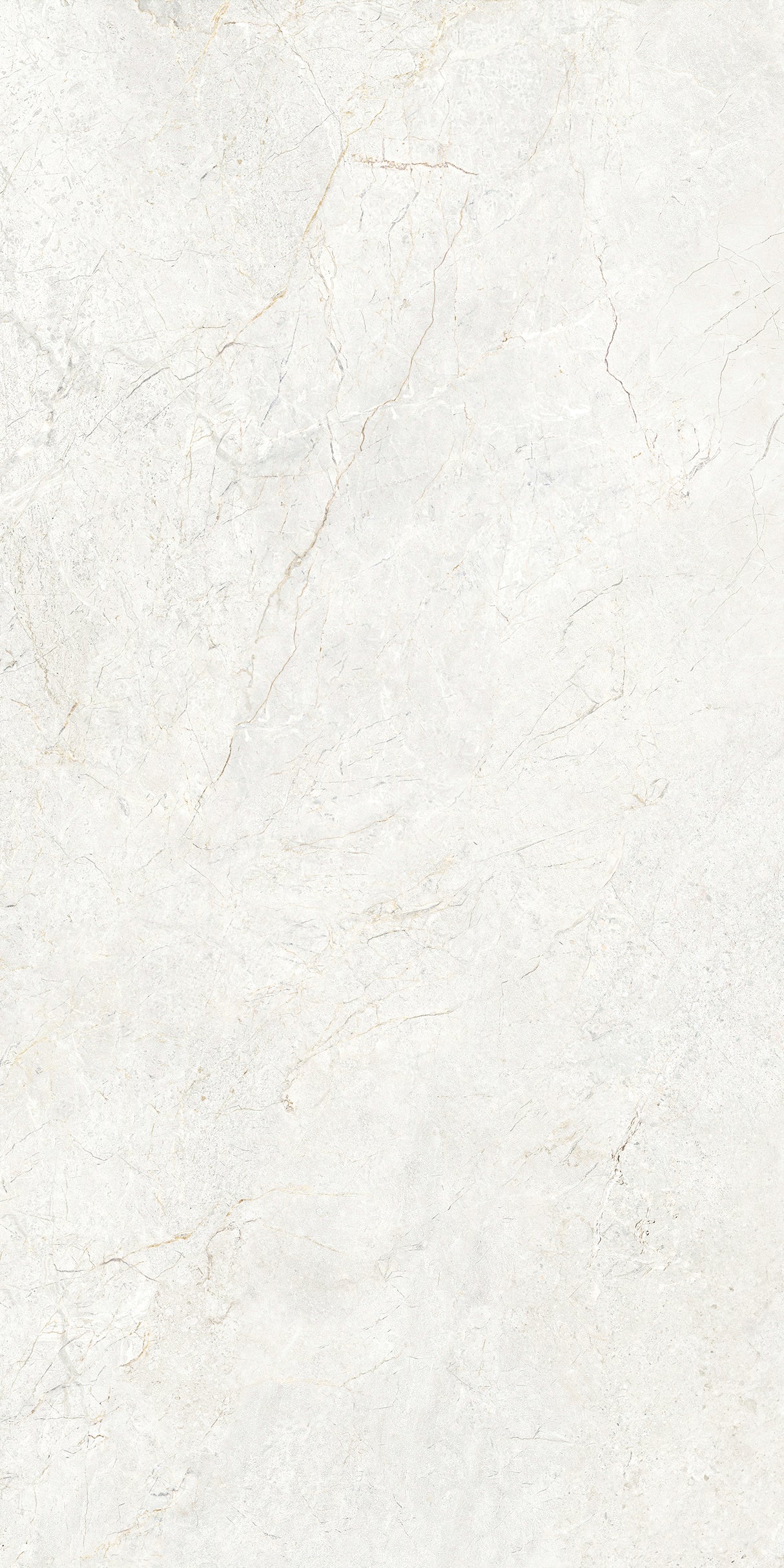CHABLIS 600x1200
