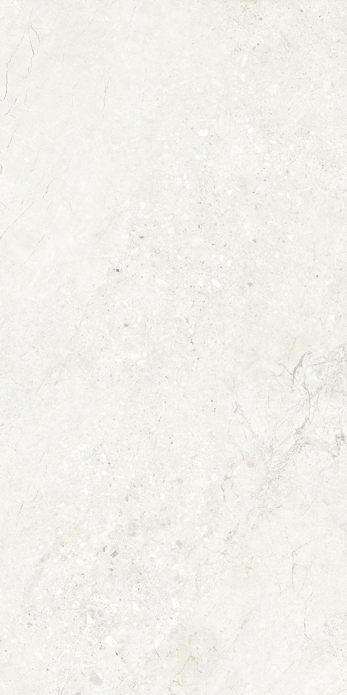 CHABLIS 600x1200