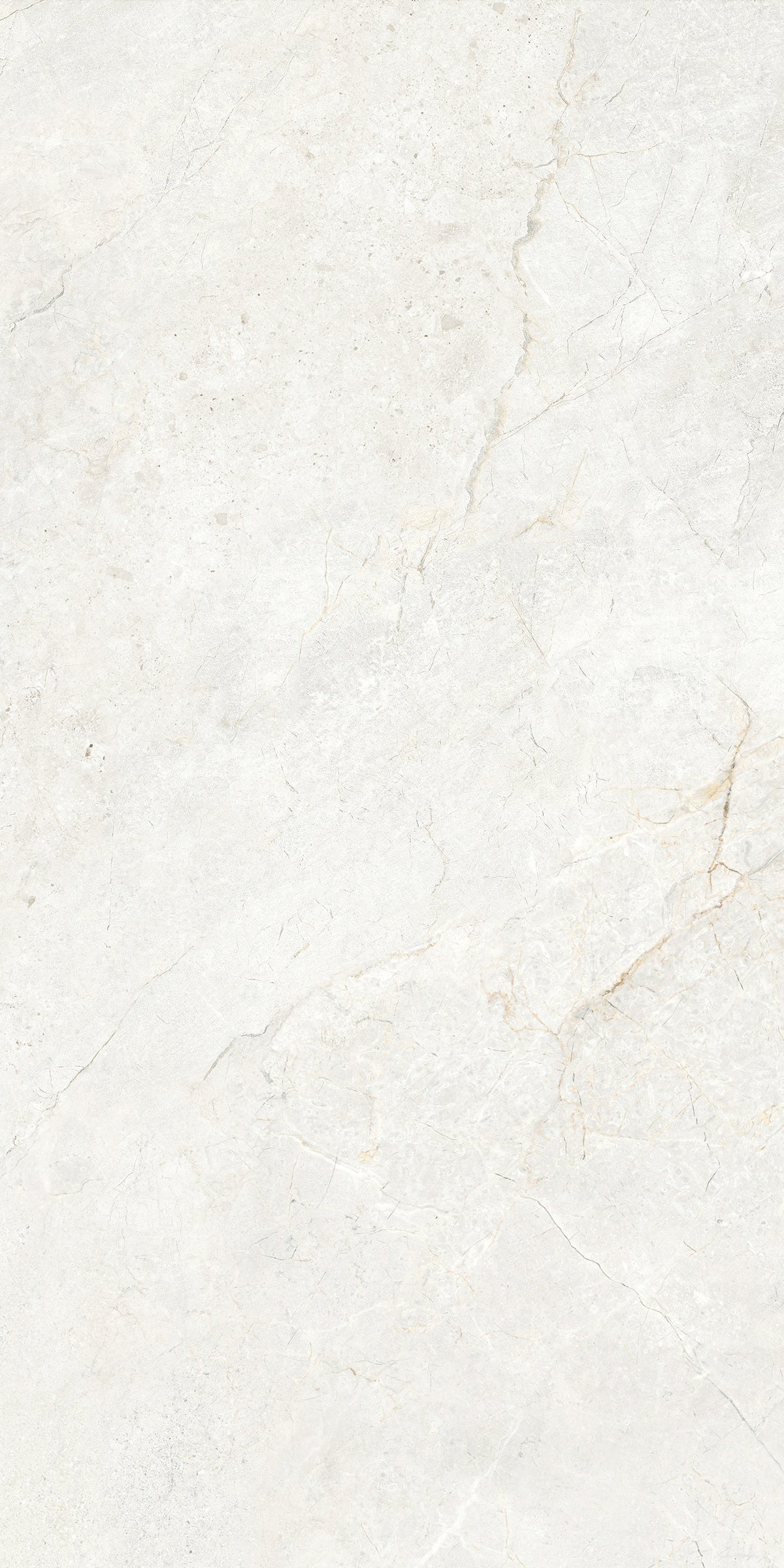 CHABLIS 600x1200