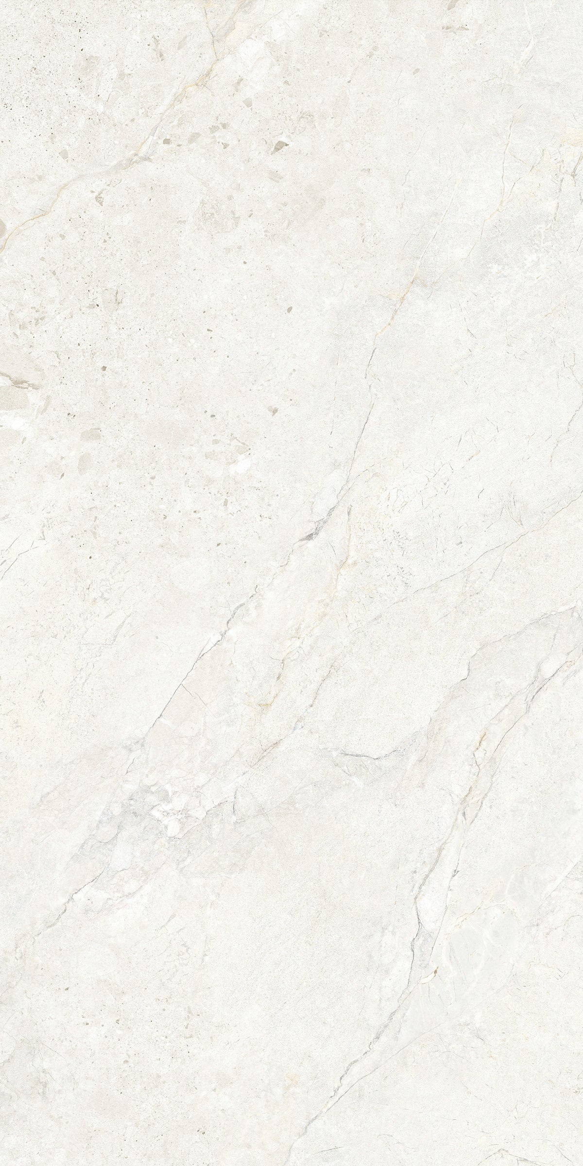 CHABLIS 600x1200
