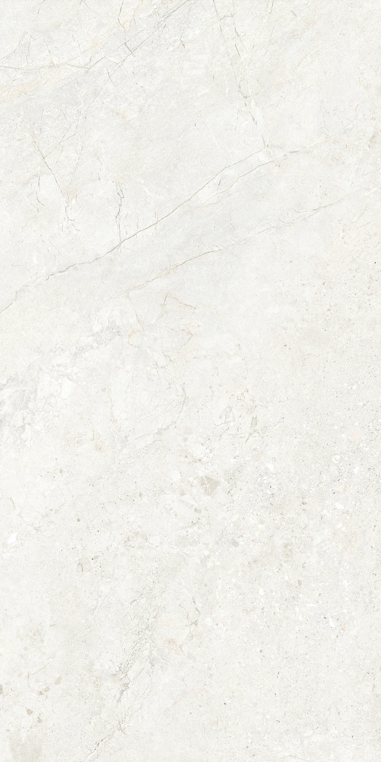CHABLIS 600x1200