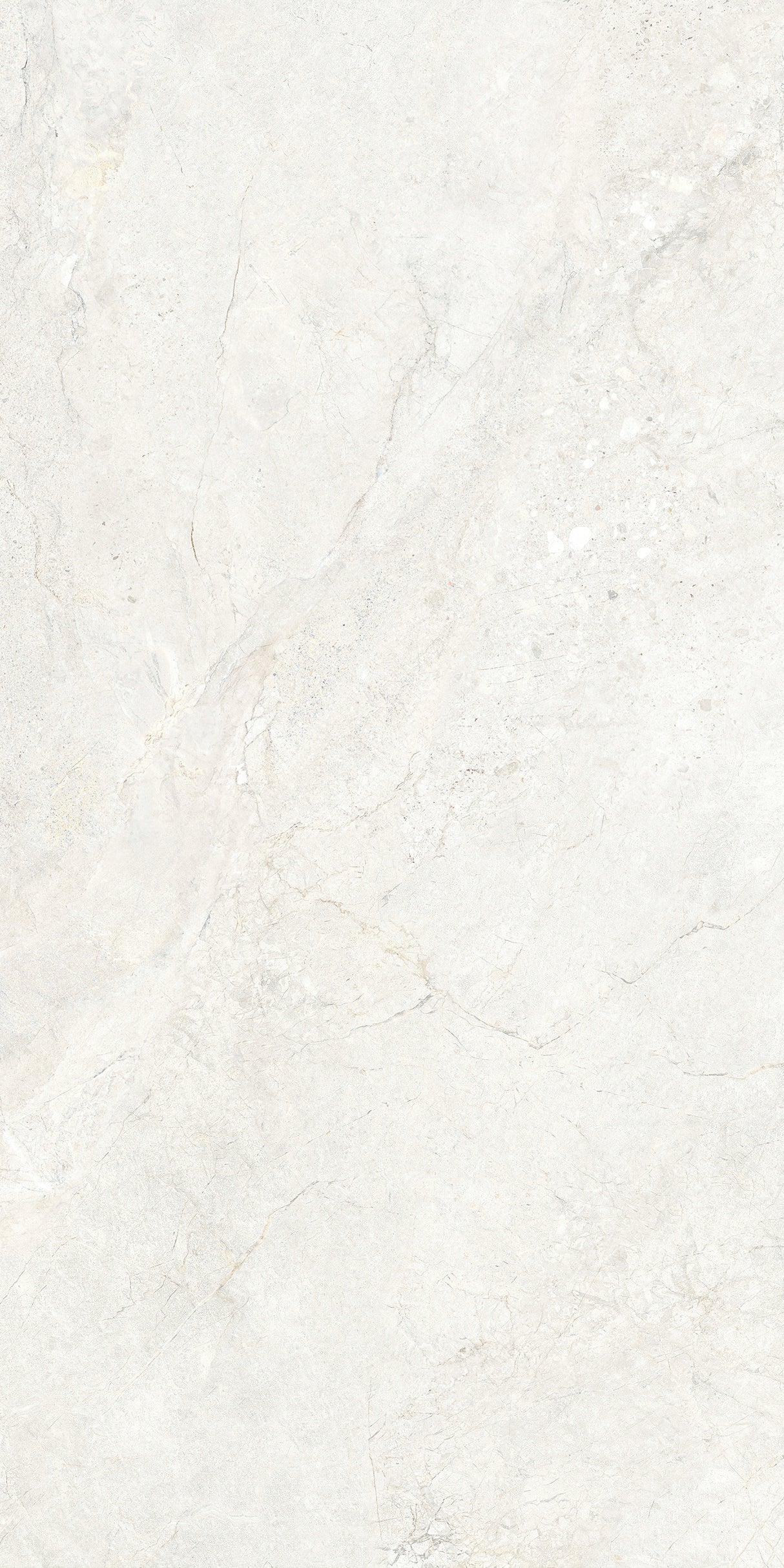 CHABLIS 600x1200