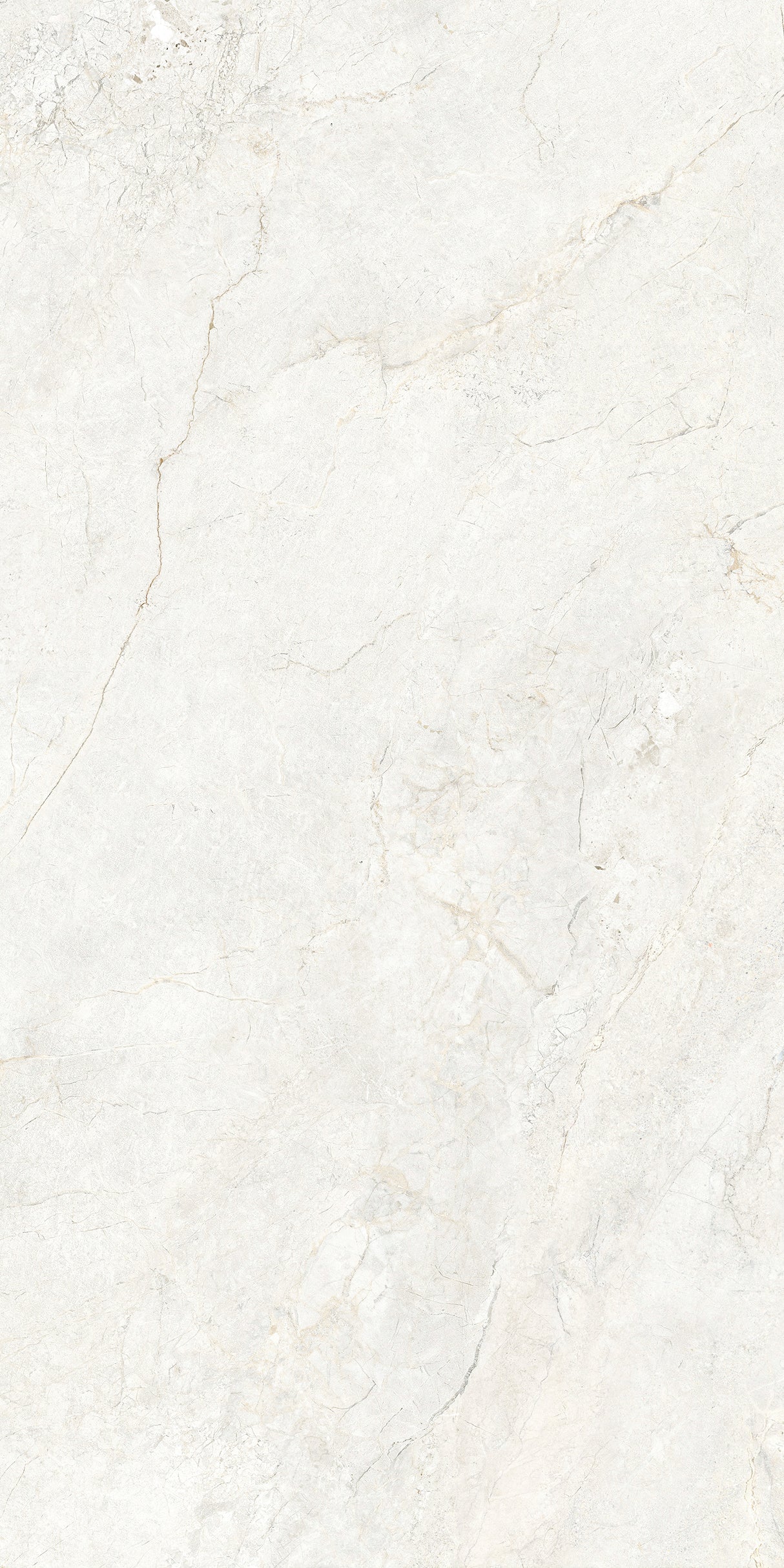 CHABLIS 600x1200