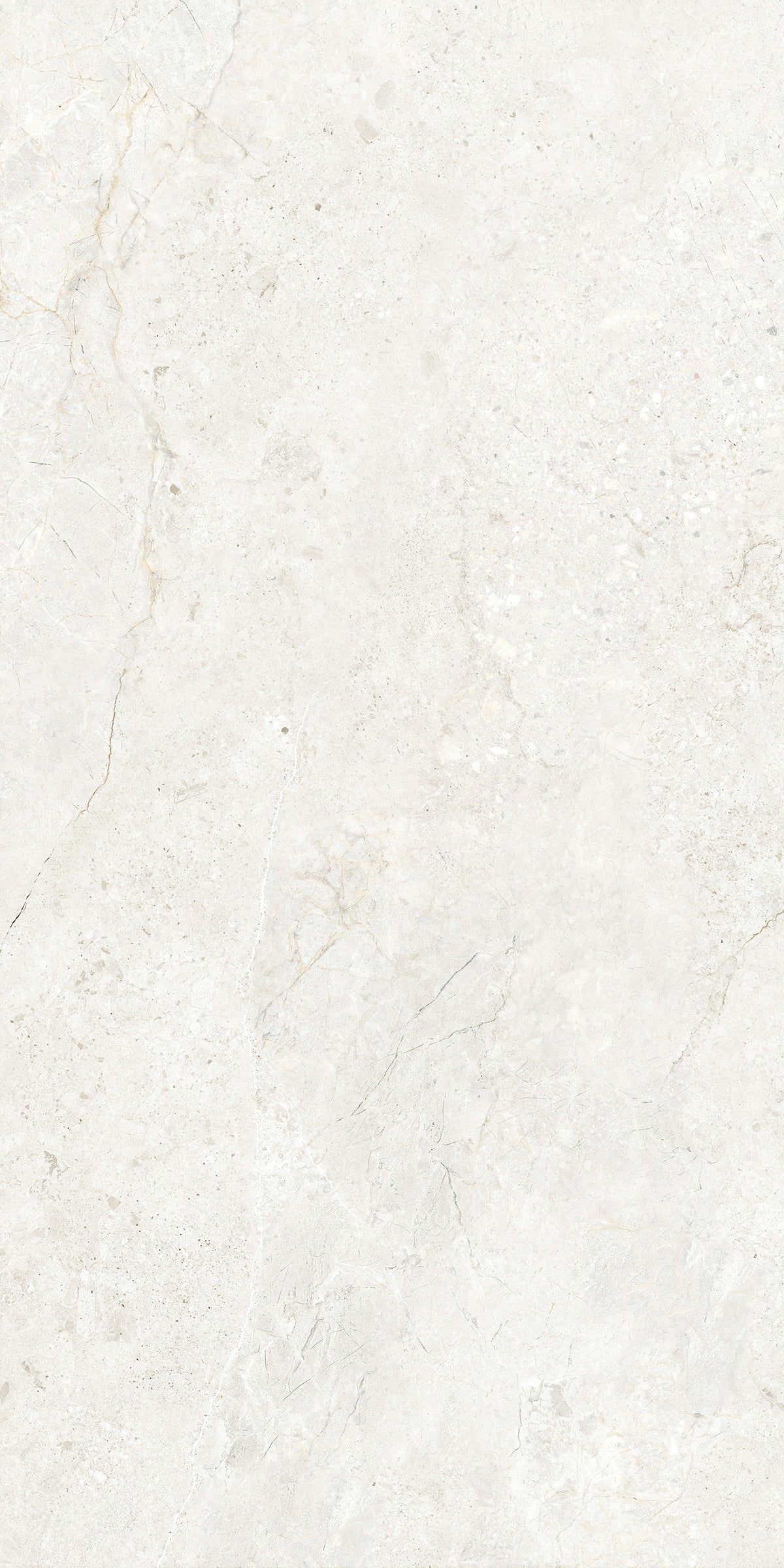 CHABLIS 600x1200
