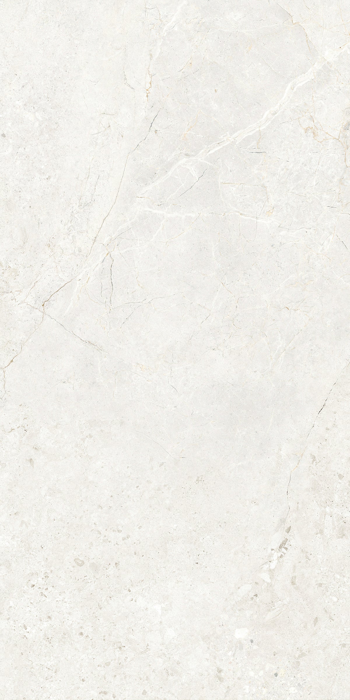 CHABLIS 600x1200