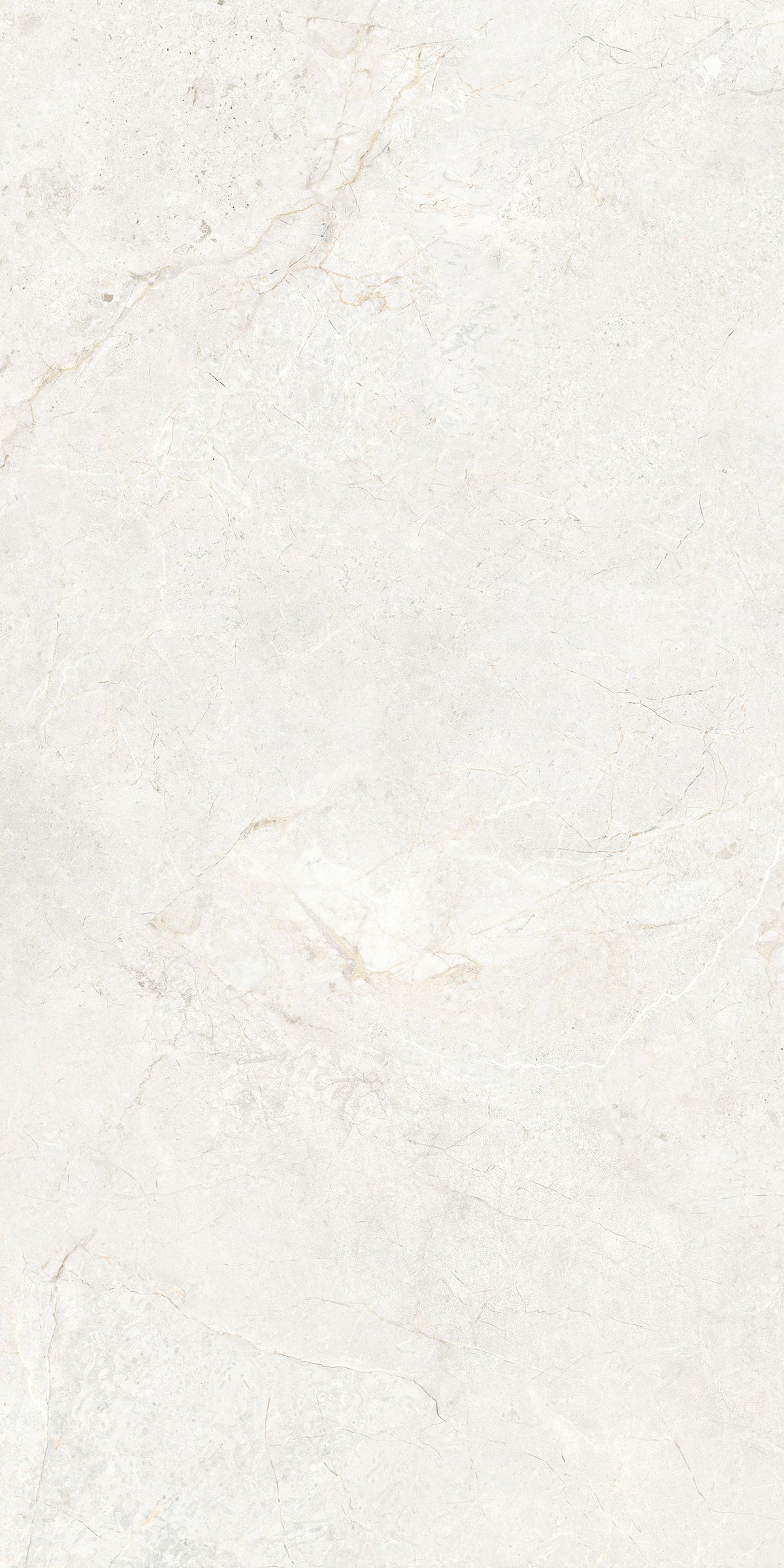 CHABLIS 600x1200