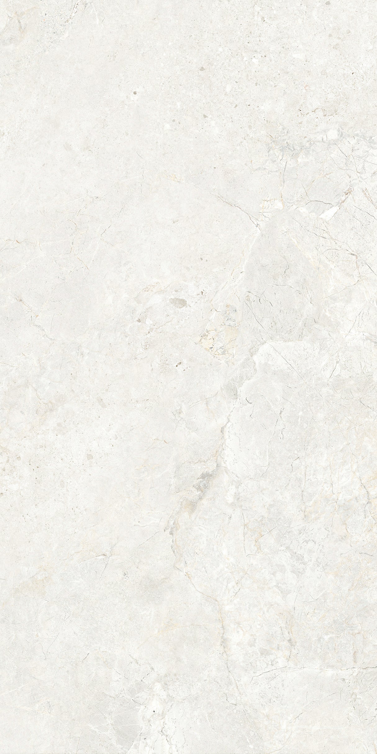 CHABLIS 600x1200
