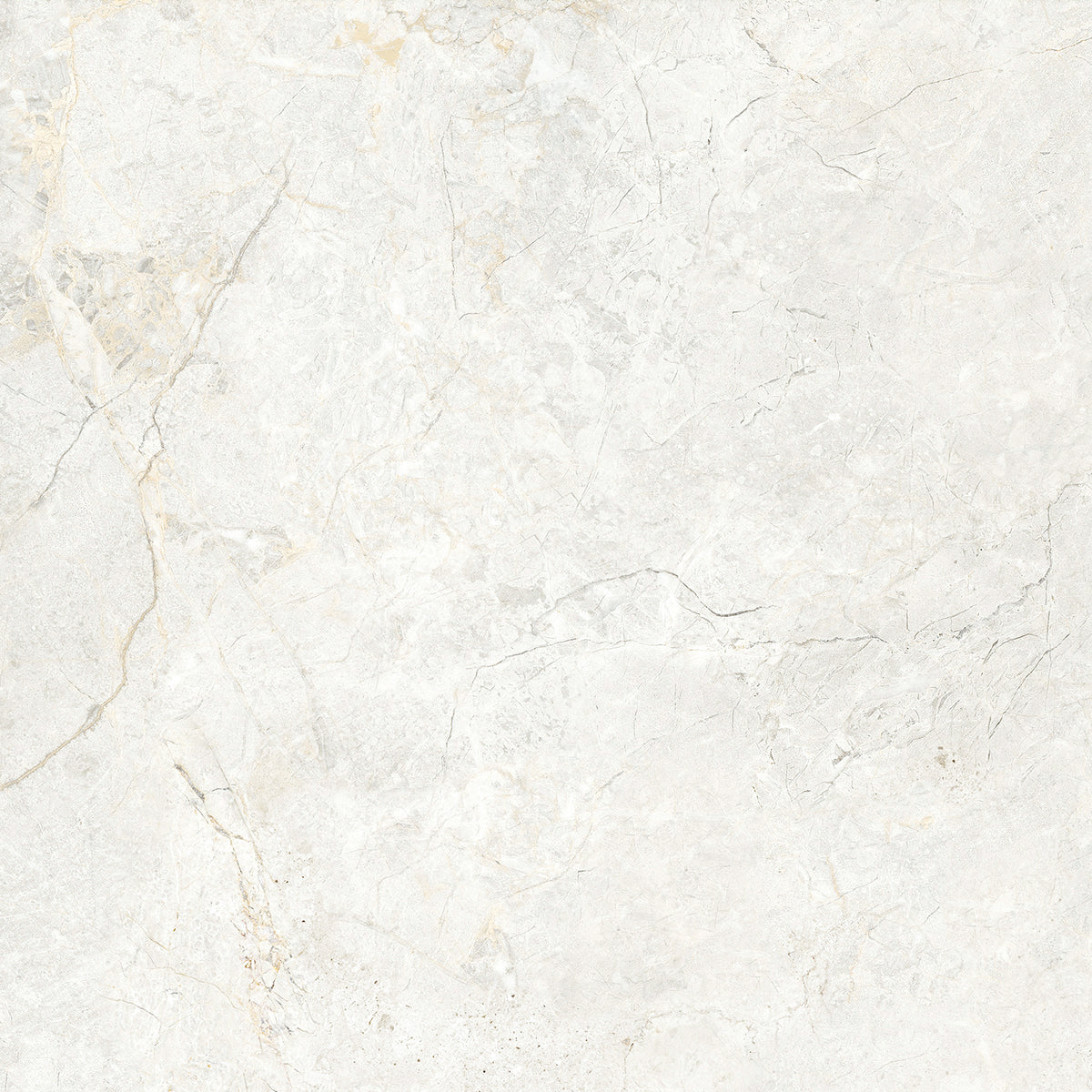 CHABLIS 600x600