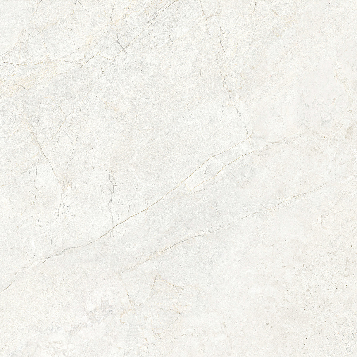 CHABLIS 600x600