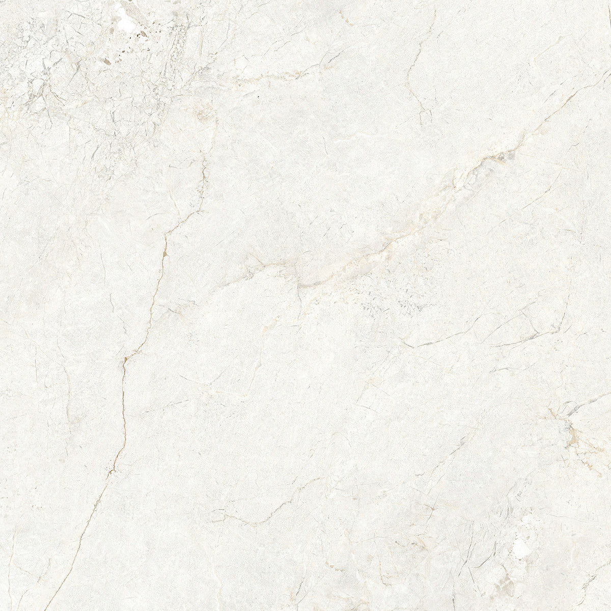 CHABLIS 600x600