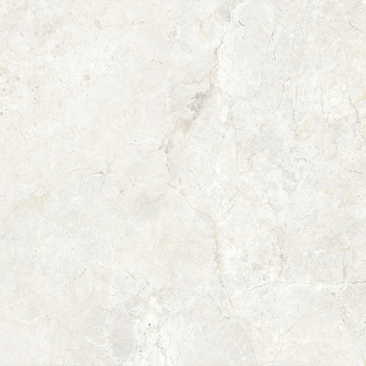 CHABLIS 600x600
