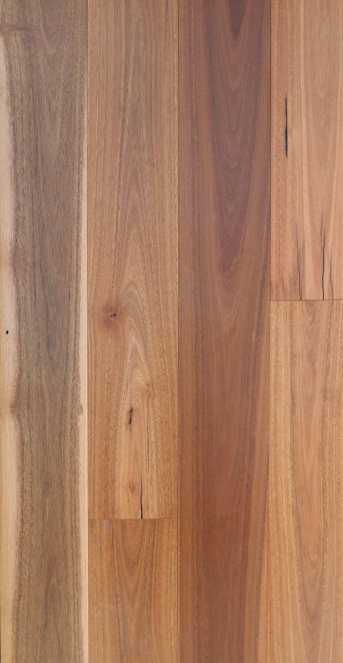 Maywood Bushland Spotted Gum engineered flooring