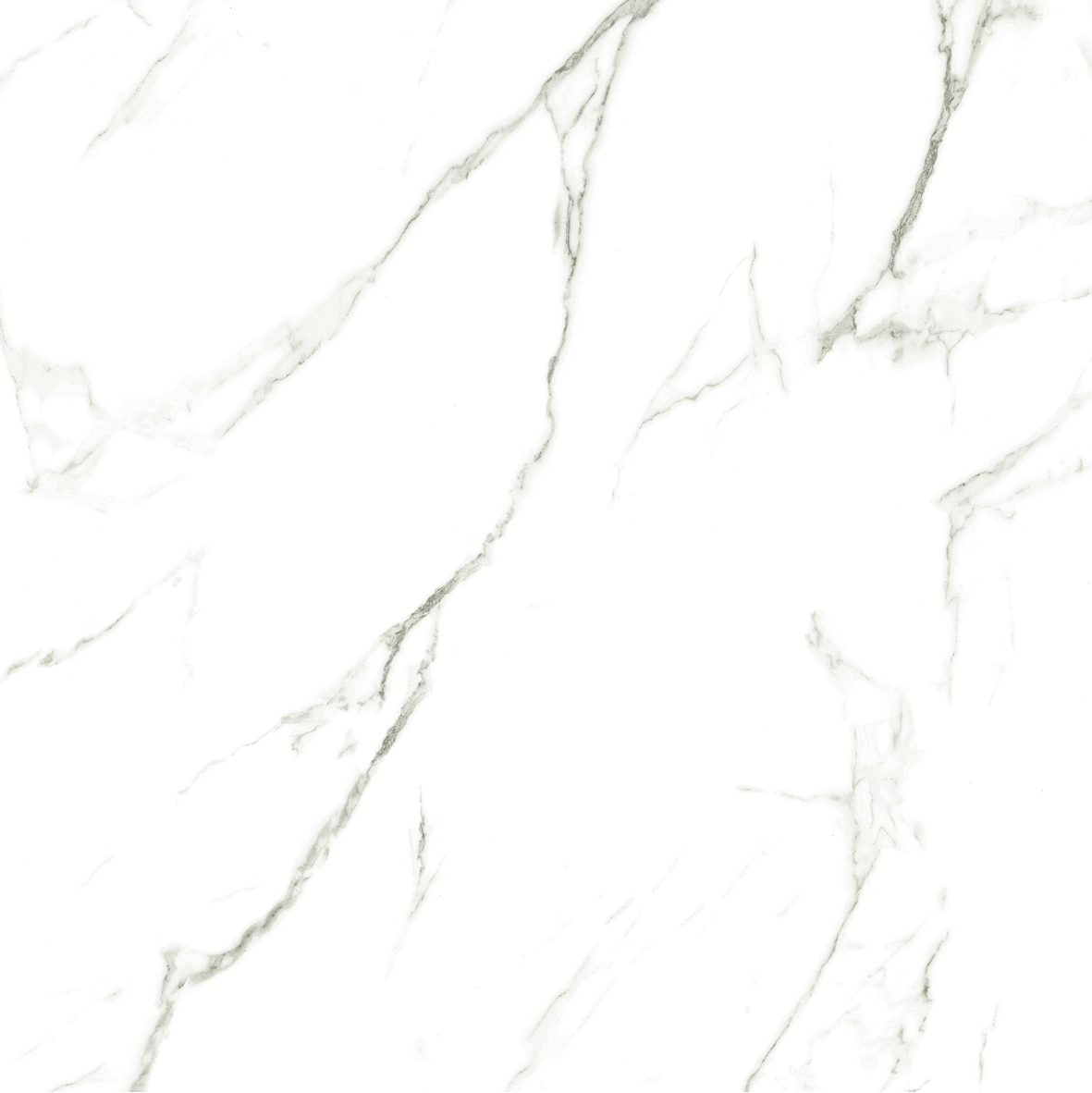 CARRARA MATT 634 600x600