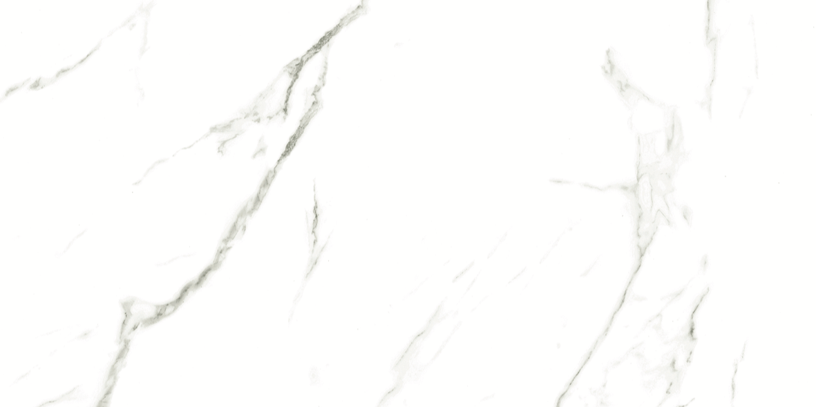 CARRARA MATT 634 300x600
