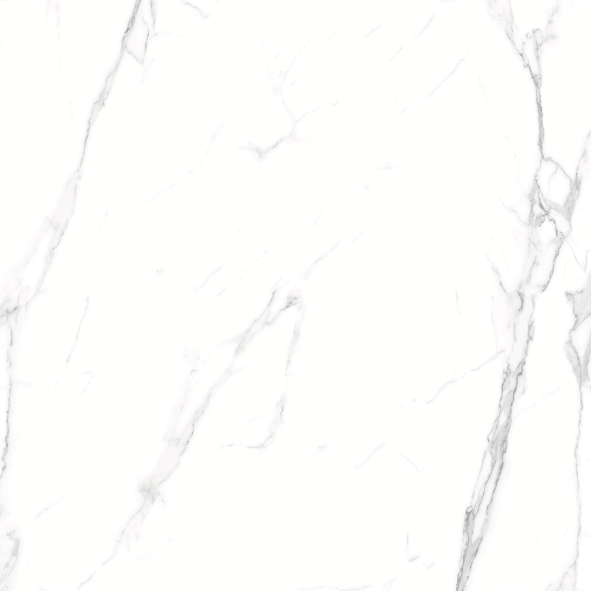 CARRARA MATT 634 600x600
