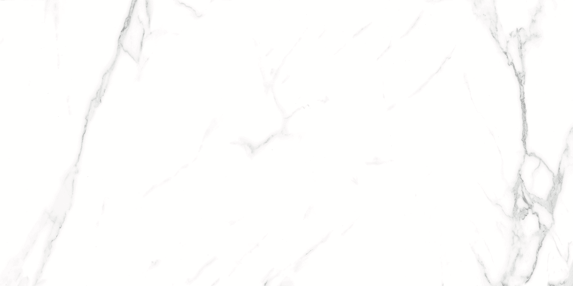 CARRARA MATT 634 300x600
