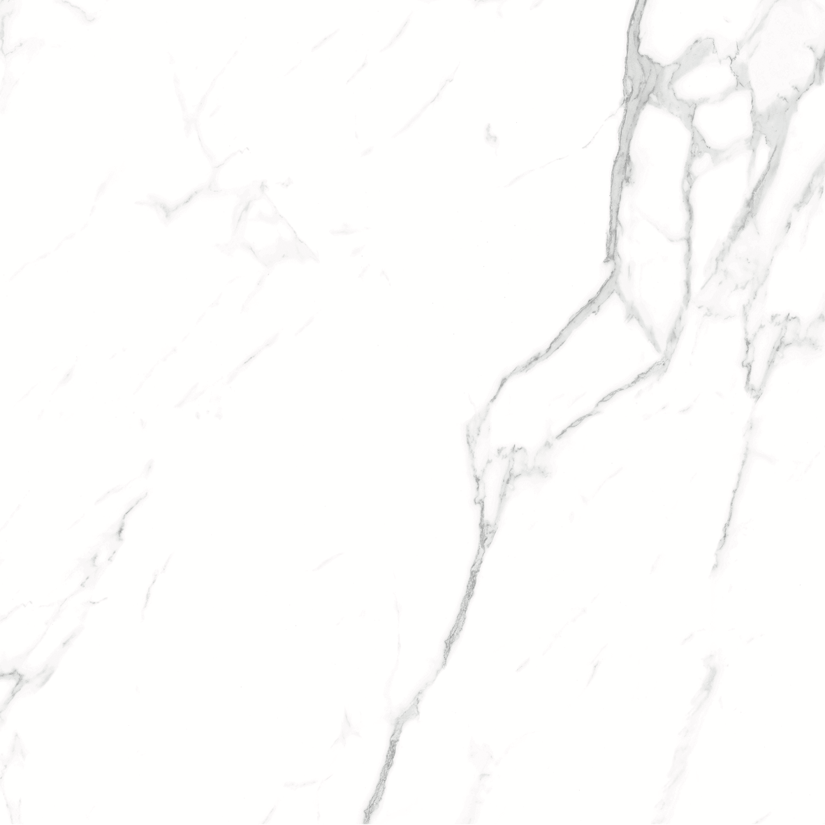 CARRARA MATT 634 600x600