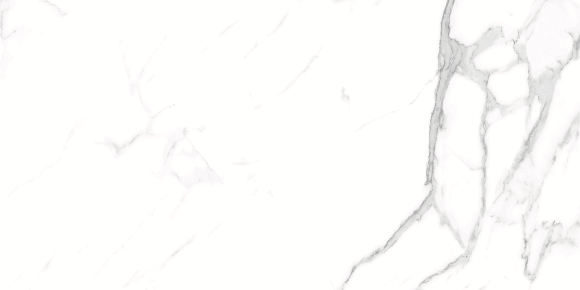 CARRARA MATT 634 300x600