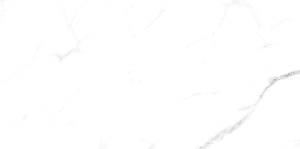 CARRARA MATT 634 300x600