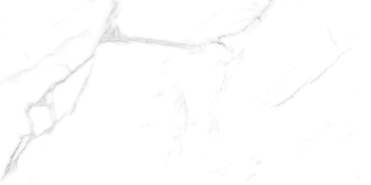 CARRARA MATT 634 300x600
