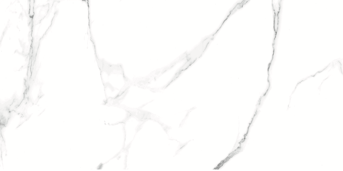 CARRARA MATT 634 300x600