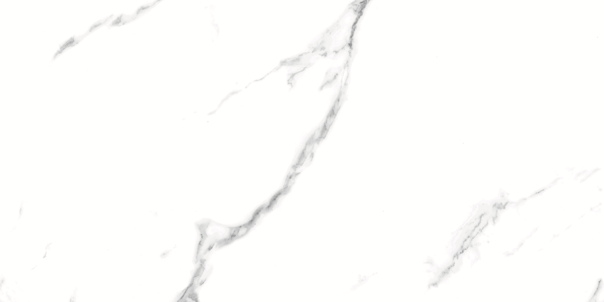 CARRARA MATT 634 300x600