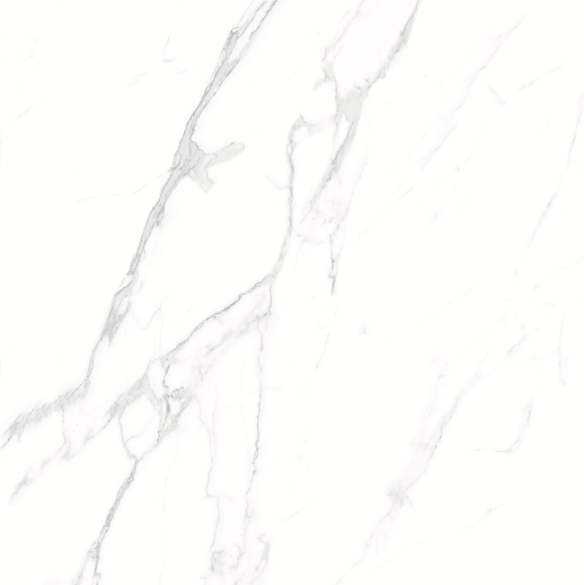 CARRARA MATT 634 600x600
