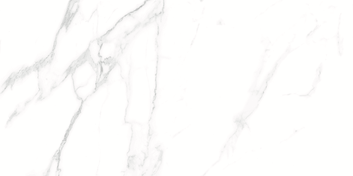 CARRARA MATT 634 300x600