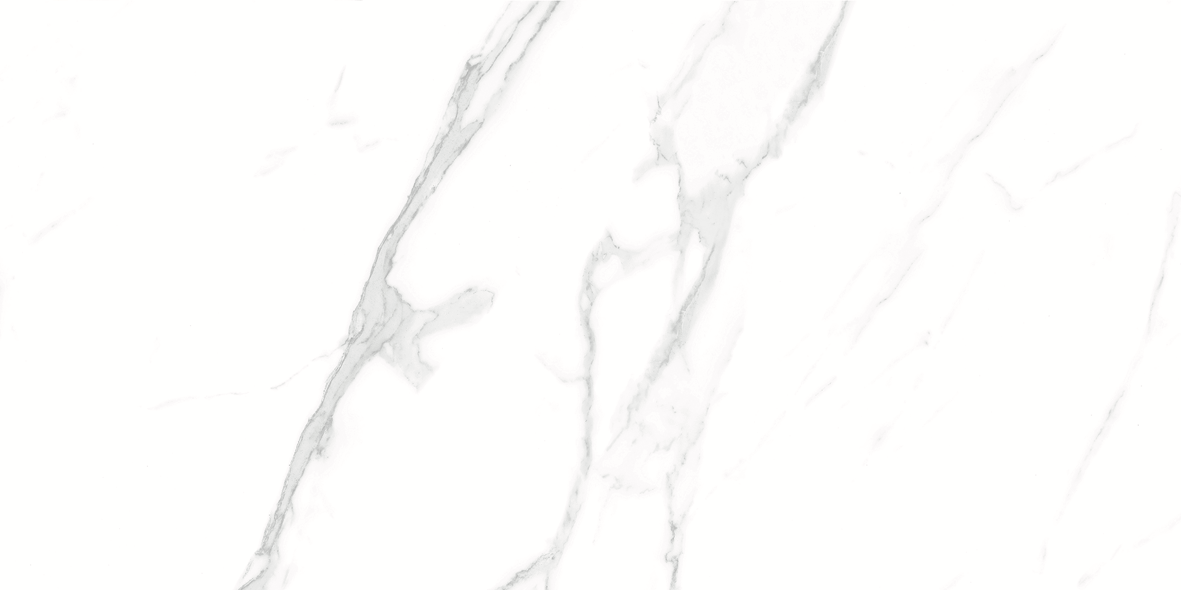 CARRARA MATT 634 300x600