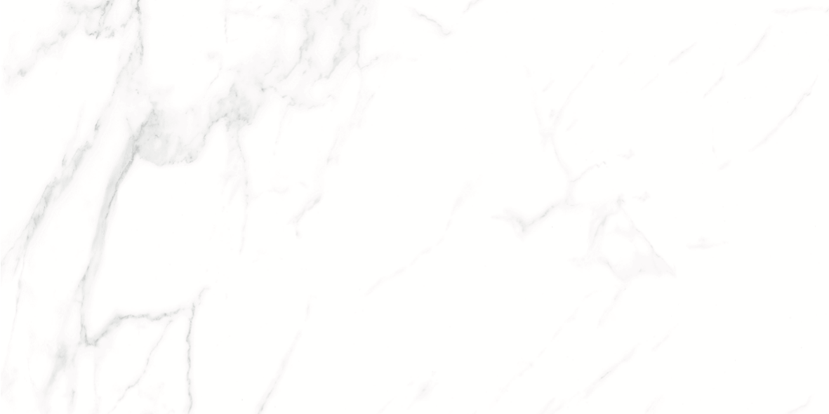 CARRARA MATT 634 300x600