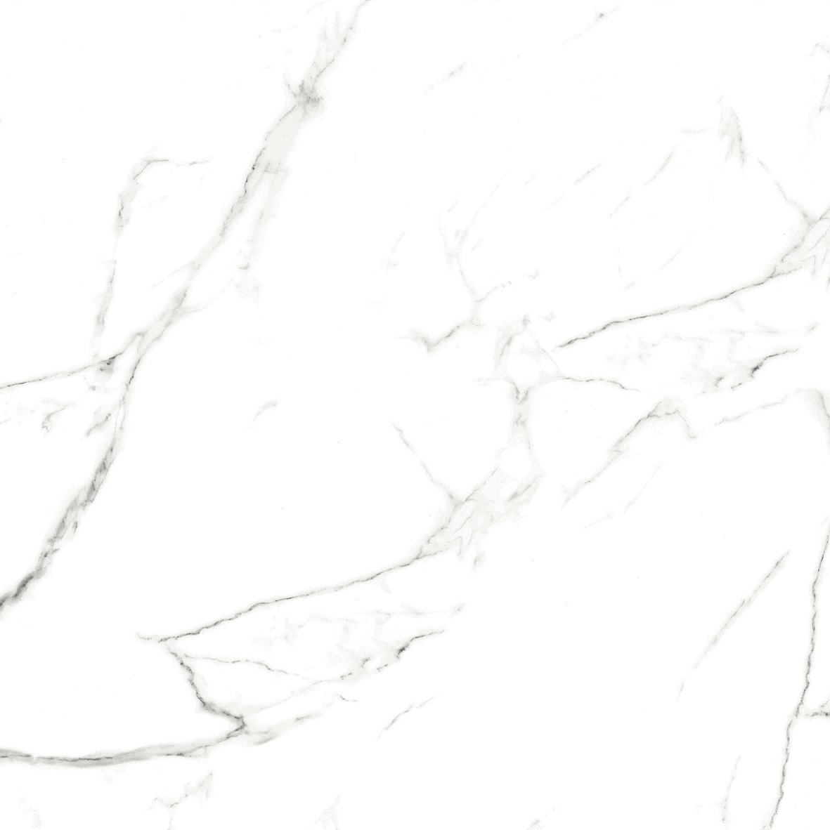 CARRARA MATT 634 600x600