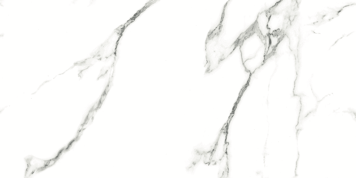 CARRARA MATT 634 300x600