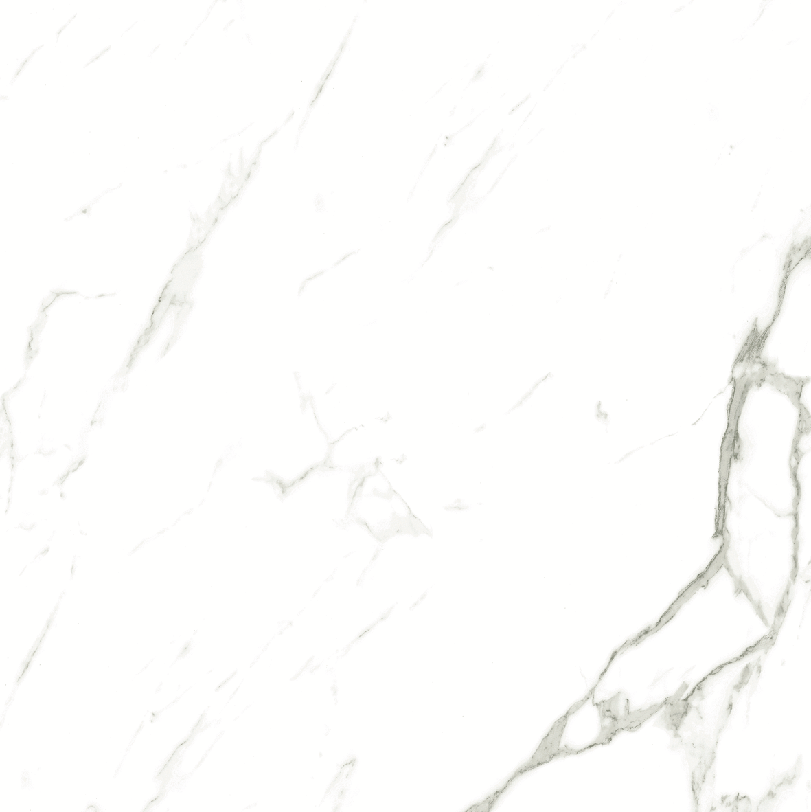 CARRARA MATT 634 600x600