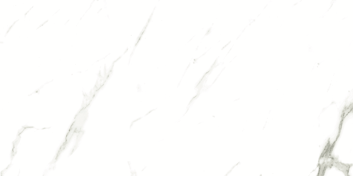 CARRARA MATT 634 300x600
