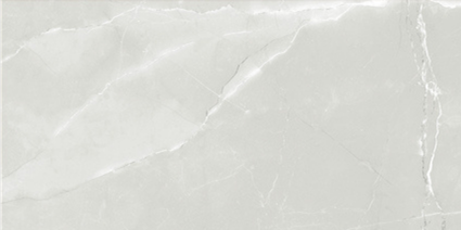 ASTRA LIGHT GREY GLOSS 300x600