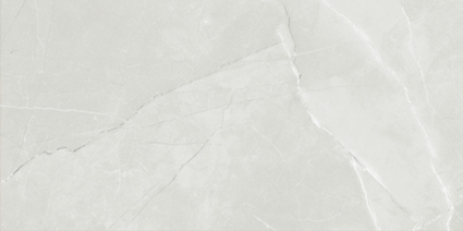 ASTRA LIGHT GREY GLOSS 300x600