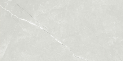 ASTRA LIGHT GREY GLOSS 300x600