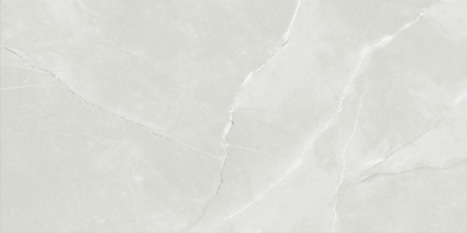 ASTRA LIGHT GREY GLOSS 300x600