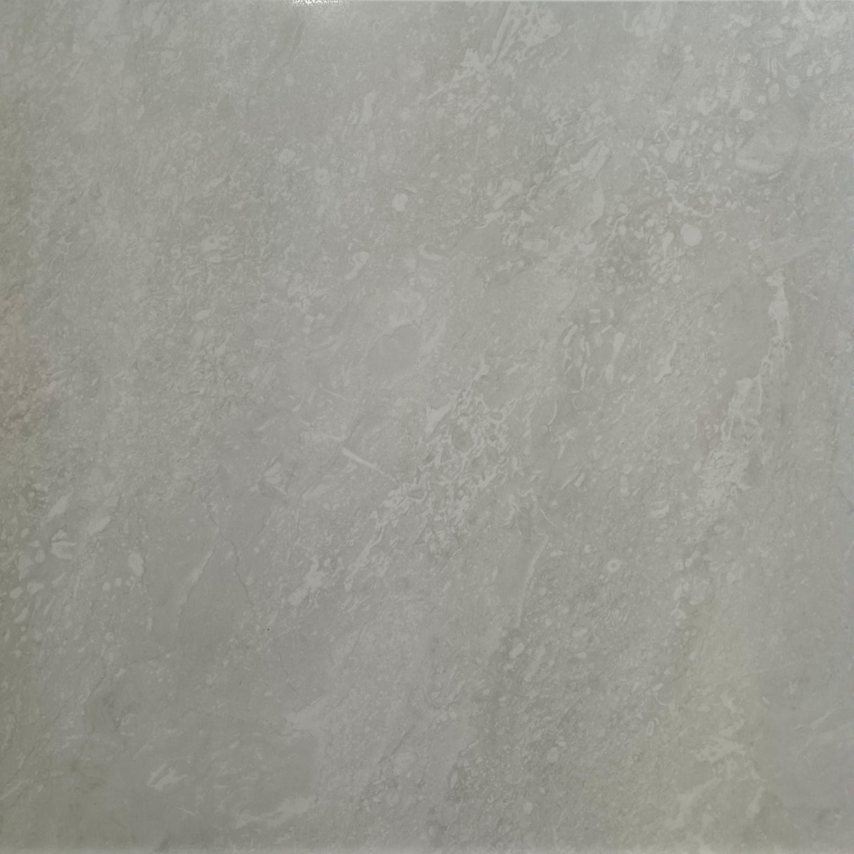 6S8913M LAPPATO 600x600