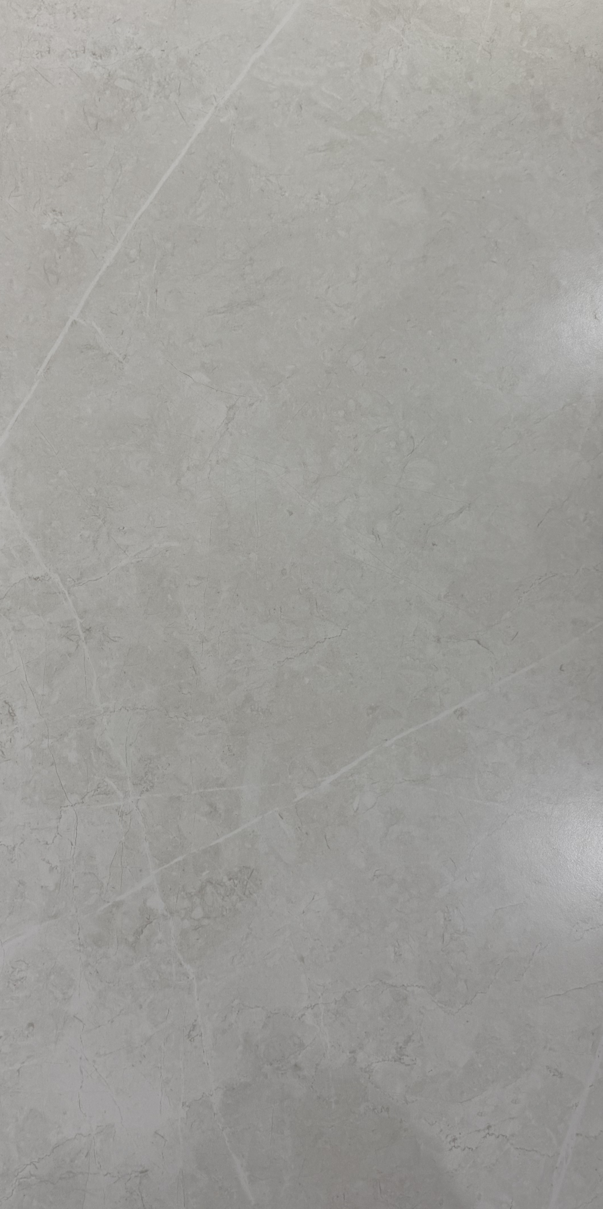 NEBULA WHITE NATURAL 600x1200