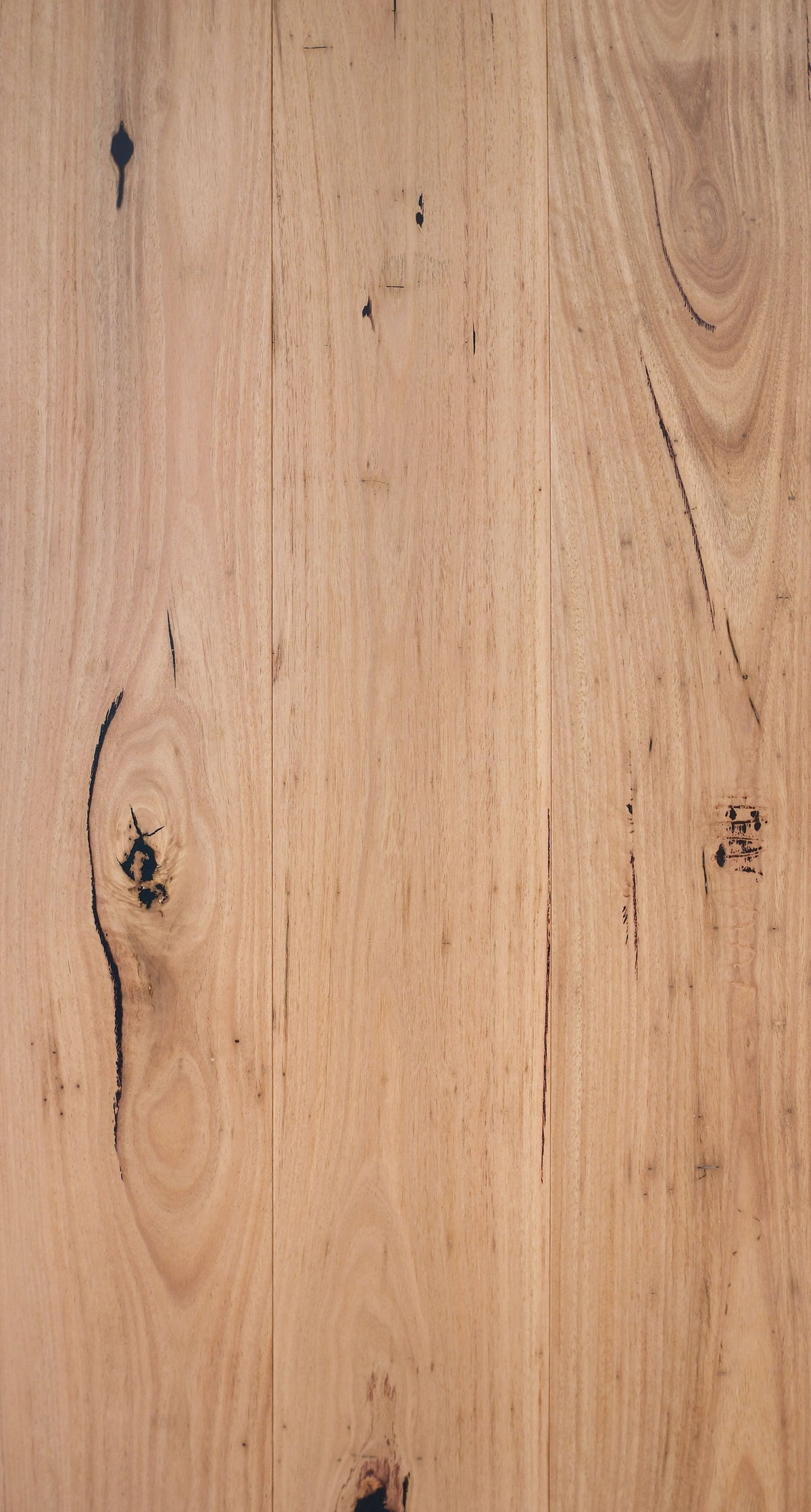 Maywood Bushland Blackbutt engineered flooring
