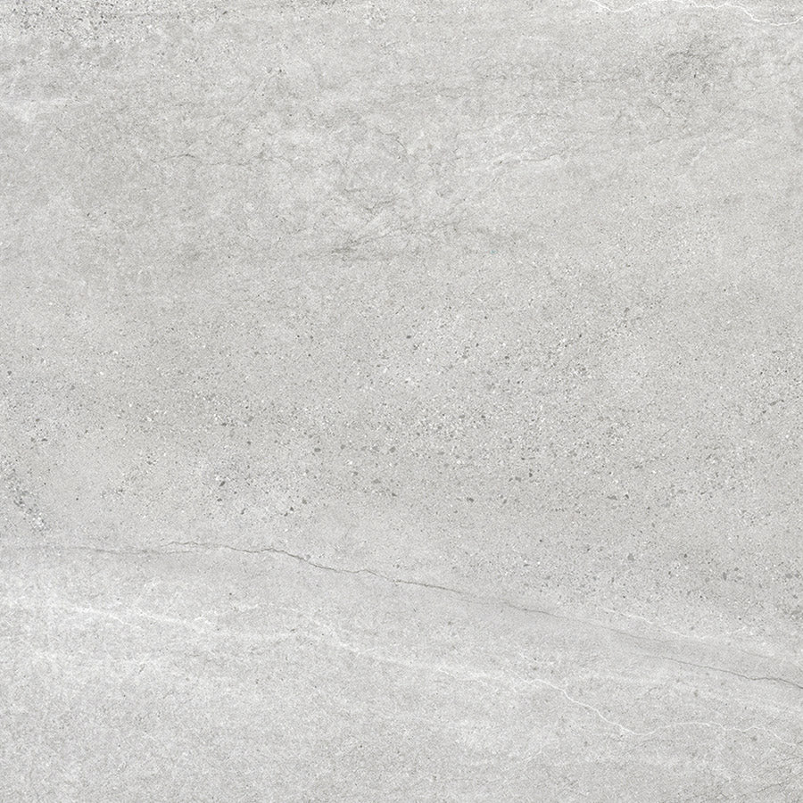 ASPEN SILVER LAPPATO 600x600