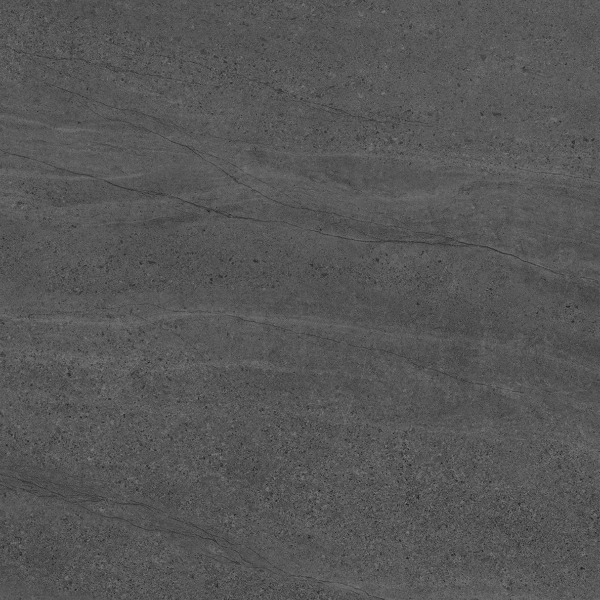 ASPEN COAL LAPPATO 600x600